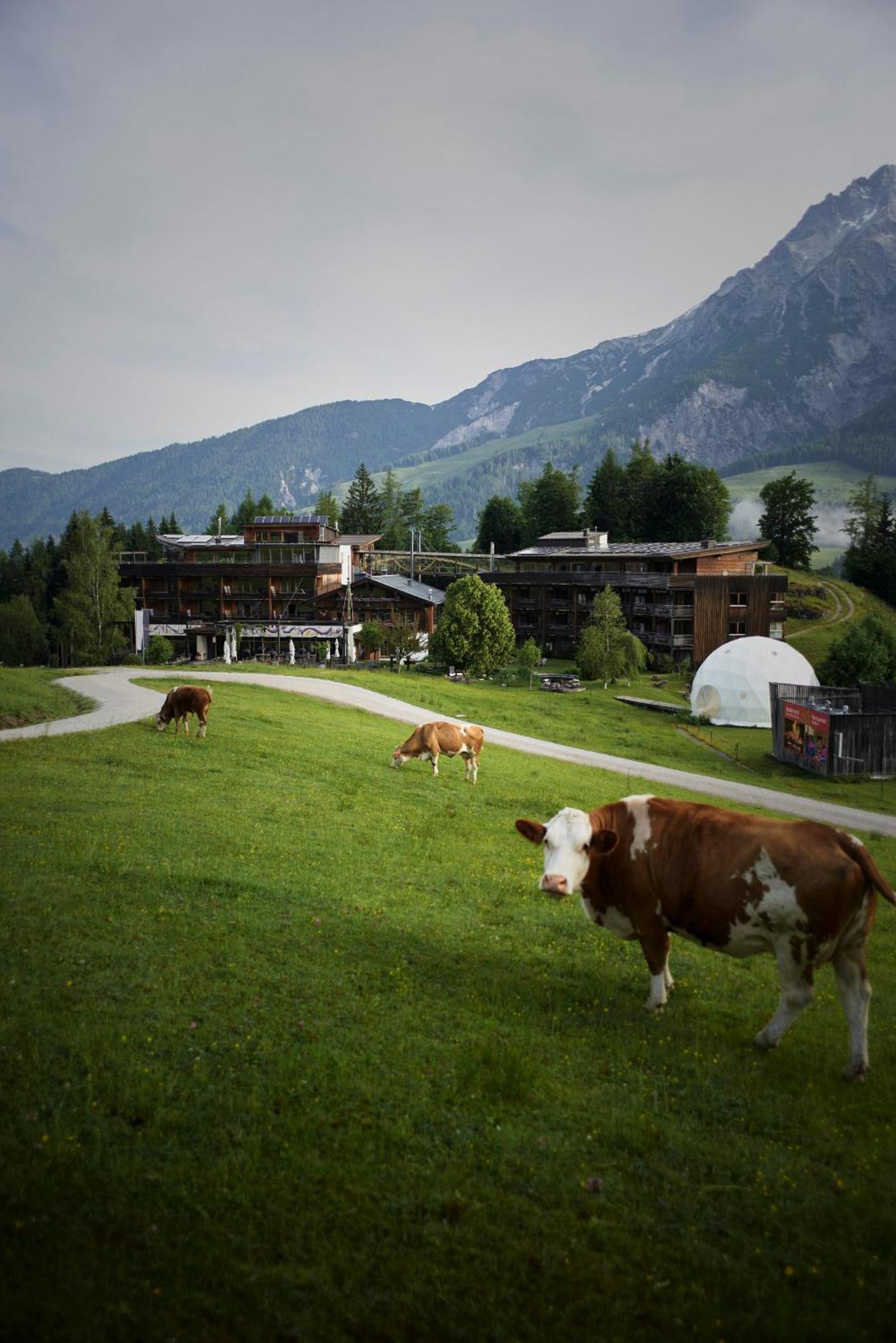 Holzhotel Forsthofalm Leogang Kültér fotó